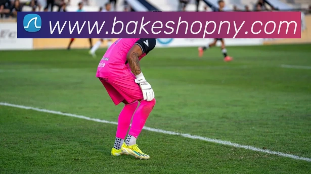 APP界面展示