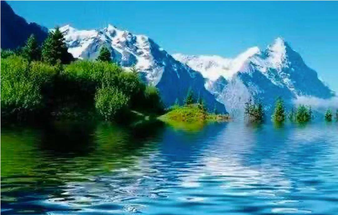 下半年打法还得回归这四个方面新葡京家电：上半年乱战结束