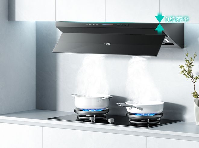 牌排行榜前十名华帝值得选择新葡京娱乐一线厨房电器品(图3)